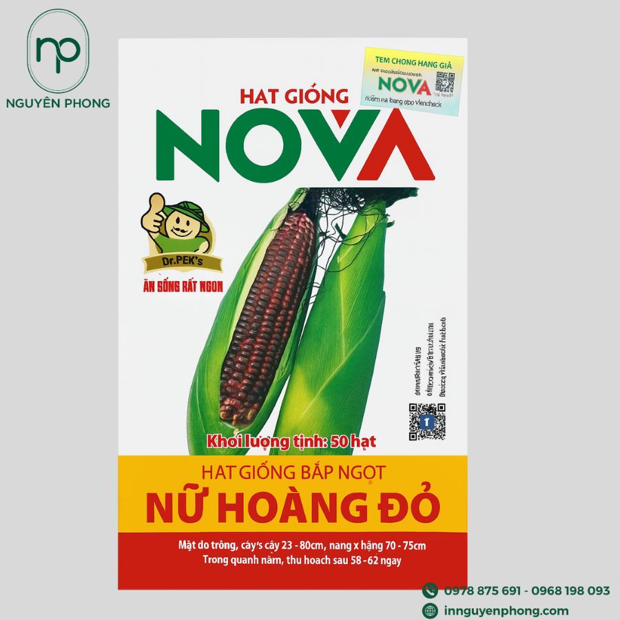 in-tem-dan-hat-giong-gia-re-tai-ha-noi